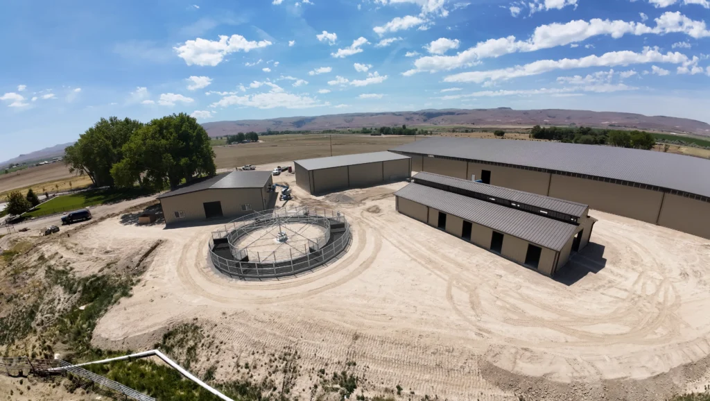 3 build field 2